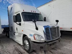 2015 Freightliner Cascadia 125 en venta en Apopka, FL