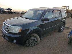 2009 Honda Pilot EXL en venta en Brighton, CO