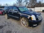 2014 Cadillac Escalade ESV Platinum