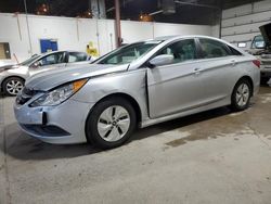 Hyundai salvage cars for sale: 2014 Hyundai Sonata GLS