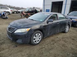 Toyota Vehiculos salvage en venta: 2010 Toyota Camry Base