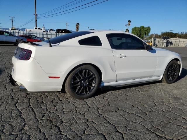 2013 Ford Mustang