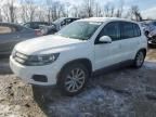 2014 Volkswagen Tiguan S