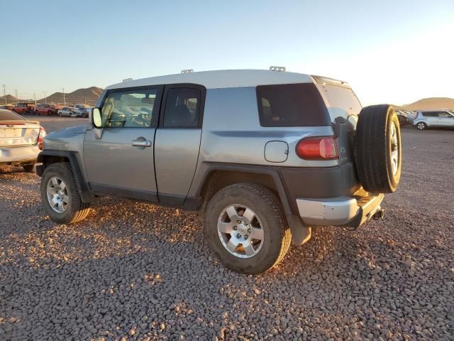 2010 Toyota FJ Cruiser