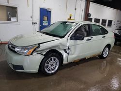 Salvage cars for sale at Blaine, MN auction: 2010 Ford Focus SE