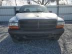 2003 Dodge Dakota SXT