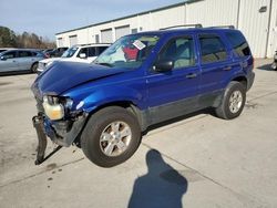 2005 Ford Escape XLT en venta en Gaston, SC