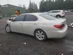 2006 Lexus ES 330