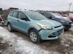 2013 Ford Escape S