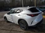 2024 Lexus NX 350H Base