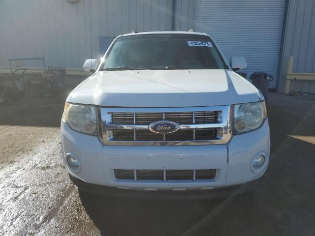 2010 Ford Escape Limited