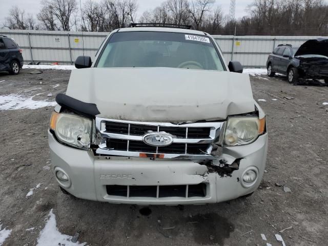 2008 Ford Escape XLT