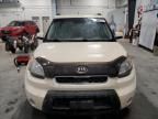 2010 KIA Soul +