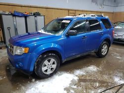 Ford Escape salvage cars for sale: 2011 Ford Escape XLT