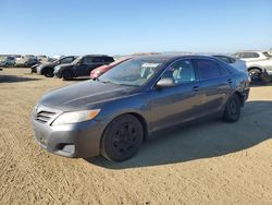 Salvage cars for sale at American Canyon, CA auction: 2010 Toyota Camry Base