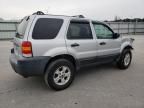 2005 Ford Escape XLT