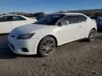 2011 Scion TC