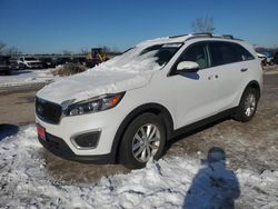 Salvage cars for sale at Kansas City, KS auction: 2016 KIA Sorento LX