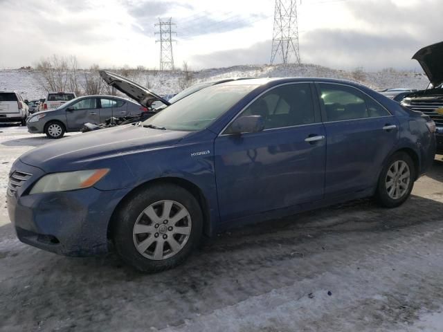 2007 Toyota Camry Hybrid