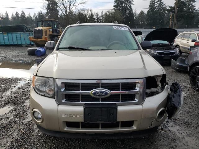 2012 Ford Escape XLT