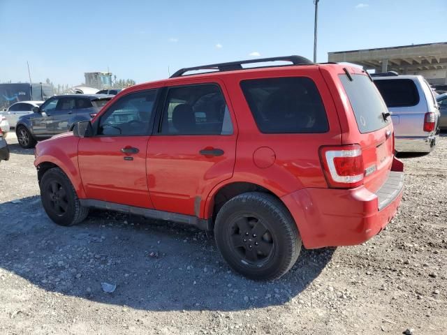 2009 Ford Escape XLT