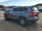 2019 Honda Pilot EXL