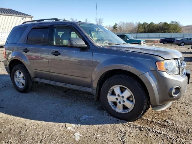 2010 Ford Escape XLT