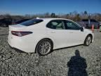 2019 Toyota Camry Hybrid