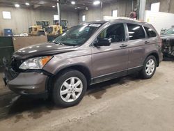 Salvage cars for sale from Copart Blaine, MN: 2011 Honda CR-V SE