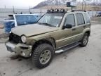 2002 Jeep Liberty Renegade