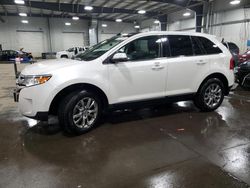 Salvage cars for sale at Ham Lake, MN auction: 2011 Ford Edge Limited