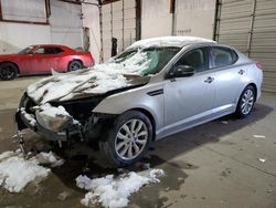 Salvage cars for sale at Lexington, KY auction: 2015 KIA Optima LX