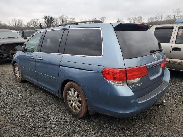 2010 Honda Odyssey EXL