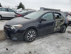 Toyota salvage cars for sale: 2016 Toyota Corolla L