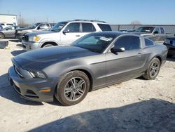 Salvage cars for sale at Haslet, TX auction: 2013 Ford Mustang