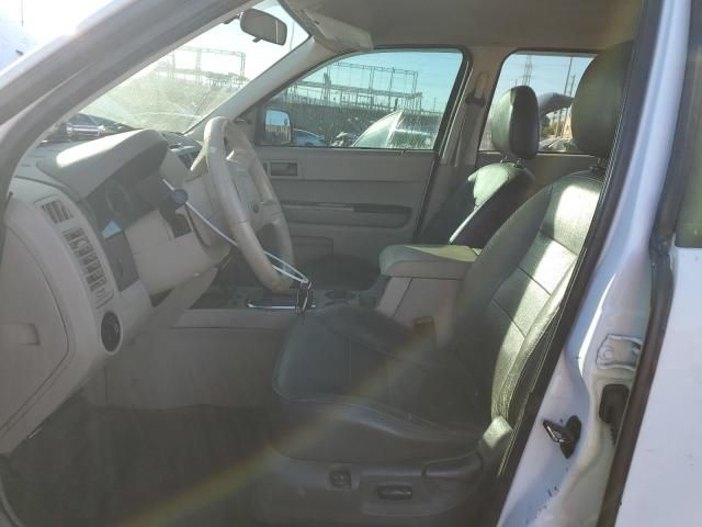 2008 Ford Escape XLT