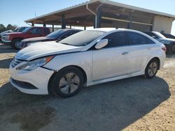 Hyundai salvage cars for sale: 2014 Hyundai Sonata GLS