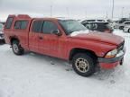 2000 Dodge Dakota