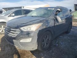 Salvage cars for sale at Brighton, CO auction: 2014 Hyundai Santa FE Sport