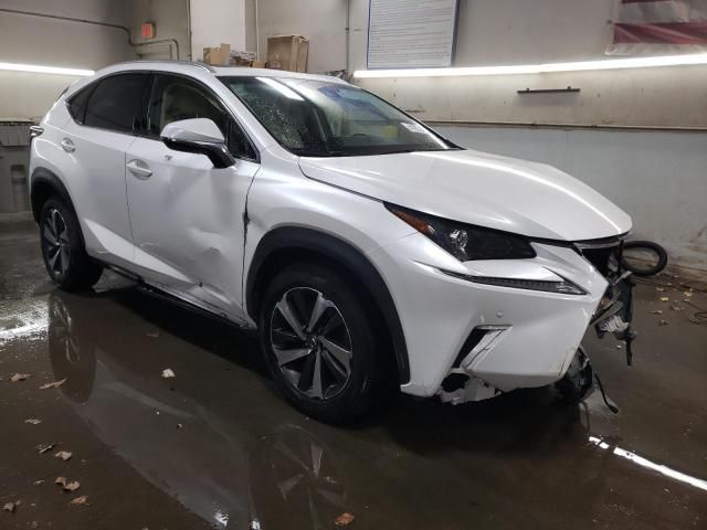 2019 Lexus NX 300 Base