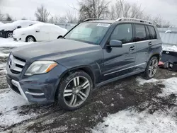 Mercedes-Benz glk-Class salvage cars for sale: 2013 Mercedes-Benz GLK 250 Bluetec