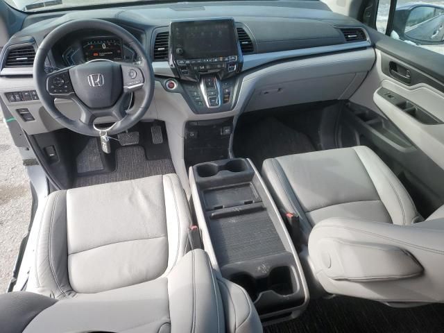 2024 Honda Odyssey EXL