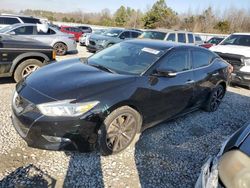 Salvage cars for sale at Memphis, TN auction: 2016 Nissan Maxima 3.5S