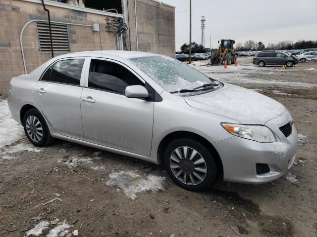 2010 Toyota Corolla Base