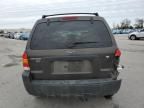 2007 Ford Escape XLT