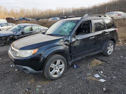 Subaru Vehiculos salvage en venta: 2010 Subaru Forester 2.5X Limited