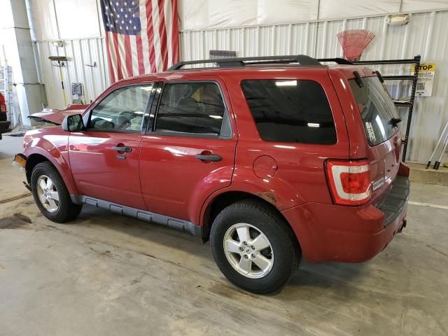 2010 Ford Escape XLT