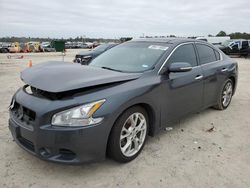 Salvage cars for sale at Houston, TX auction: 2012 Nissan Maxima S