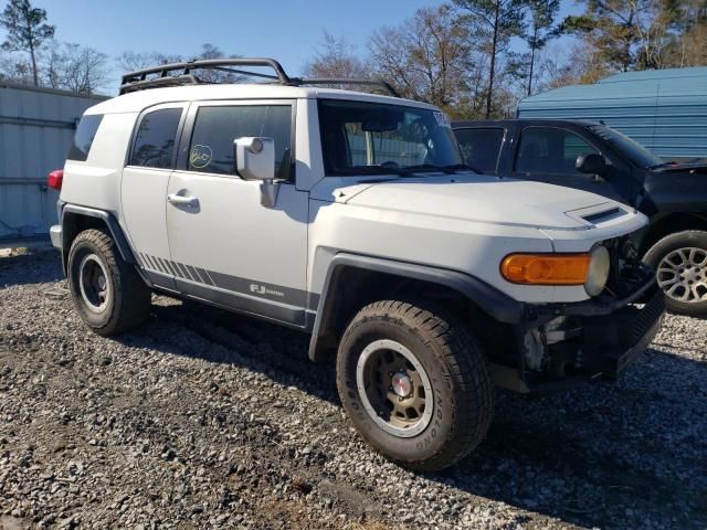 2010 Toyota FJ Cruiser