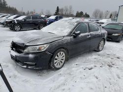 Vehiculos salvage en venta de Copart Ontario Auction, ON: 2013 Honda Accord EXL